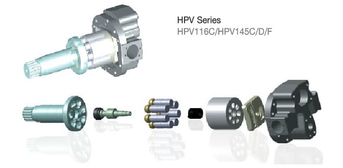HPV116 3D