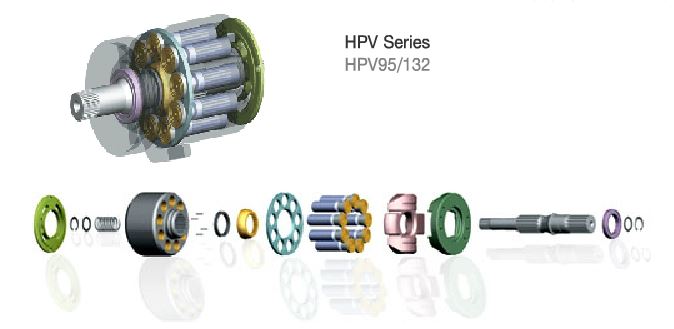 HPV95 3D